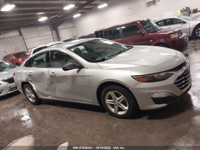 Chevrolet Malibu 1fl 2019 1G1ZC5ST7KF214589 Image 13