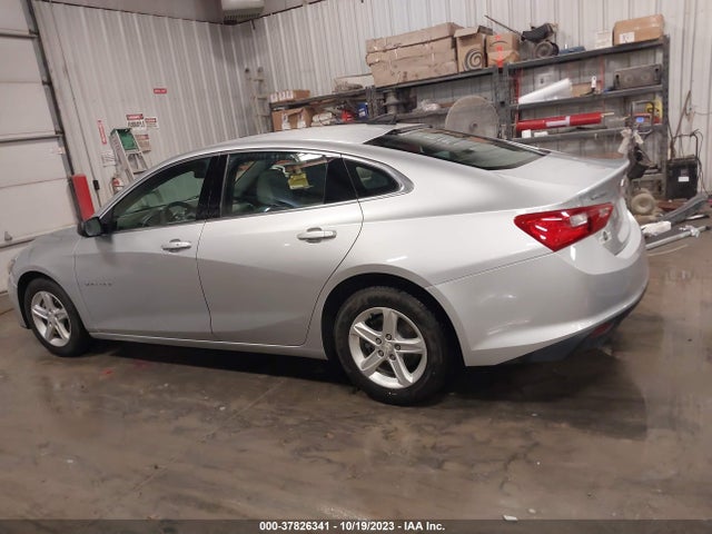 Chevrolet Malibu 1fl 2019 1G1ZC5ST7KF214589 Image 14