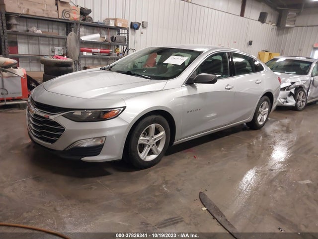 Chevrolet Malibu 1fl 2019 1G1ZC5ST7KF214589 Image 2