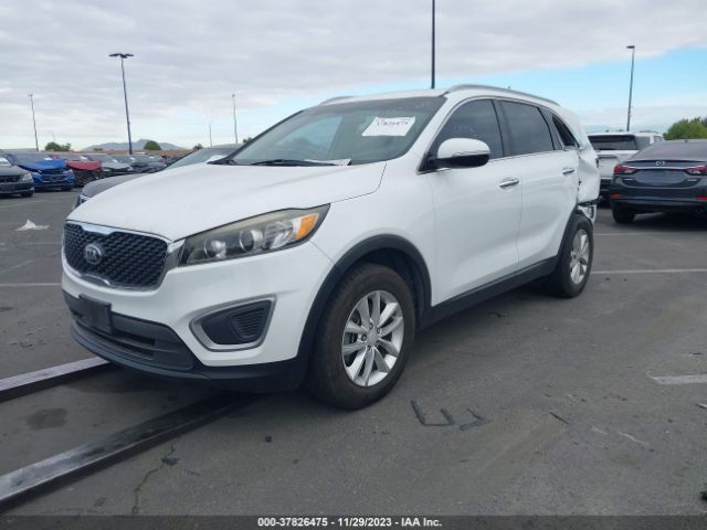 5XYPG4A56HG223564 KIA Sorento Lx V6