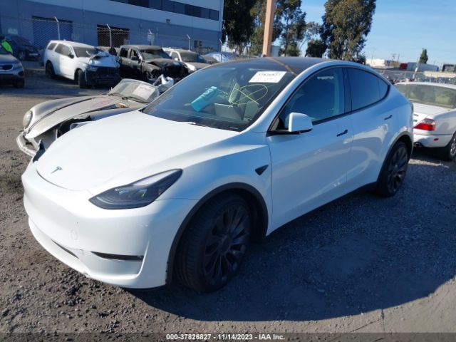 7SAYGDEF4PF750759 Tesla Model Y Performance
