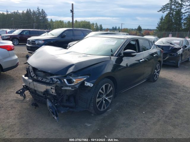 1N4AA6AP1HC395502 Nissan Maxima Platinum
