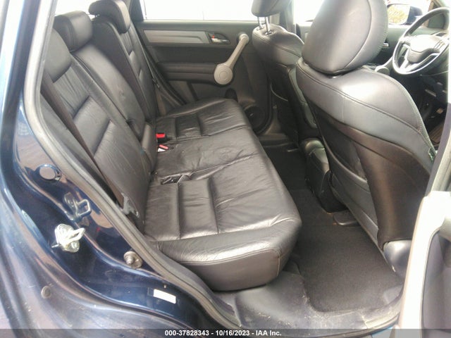 2007 HONDA CR-V EX-L VIN: JHLRE38767C072456