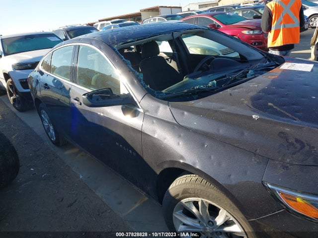 2023 CHEVROLET MALIBU LT VIN: 1G1ZD5ST5PF163596