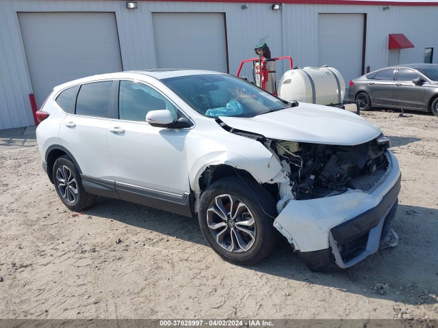 Honda Cr-v Awd Ex 2021 2HKRW2H56MH656892 головне зображення