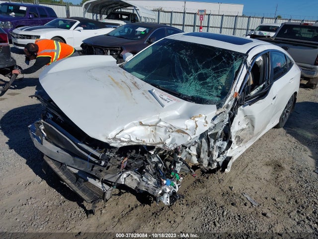 2020 HONDA CIVIC EX-L VIN: 19XFC1F77LE006434