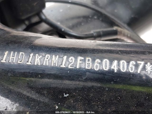 2015 HARLEY-DAVIDSON FLHXS 1HD1KRM12FB604067 Photo 9