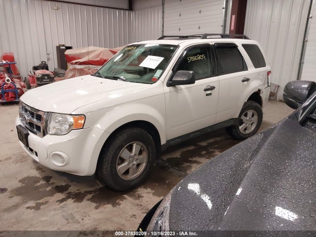 2011 FORD ESCAPE 1FMCU9DG7BKA86312 Photo 1