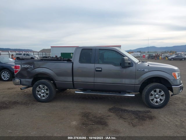 2009 FORD F-150 XL/XLT/FX4/LARIAT VIN: 1FTPX14V19FA11900