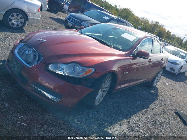 2010 JAGUAR XF SAJWA0GB2ALR64065 Photo 1