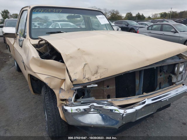 1983 CHEVROLET C10 VIN: 1GCCC14DXDJ111954