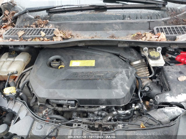 Ford ESCAPE SE 2016 1FMCU9GX5GUB28807 Image 10