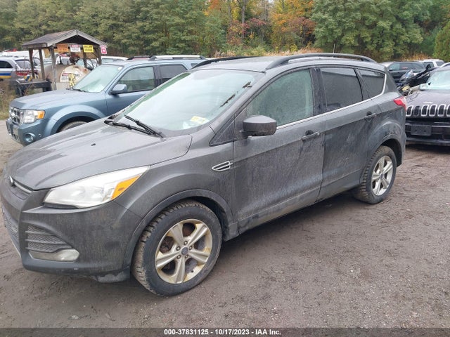 Ford ESCAPE SE 2016 1FMCU9GX5GUB28807 Image 2