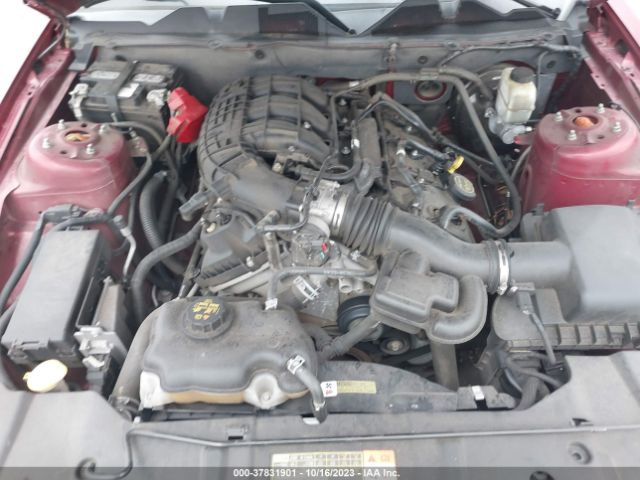 1ZVBP8AM3E5311398 Ford Mustang V6