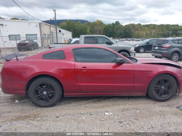 1ZVBP8AM3E5311398 Ford Mustang V6