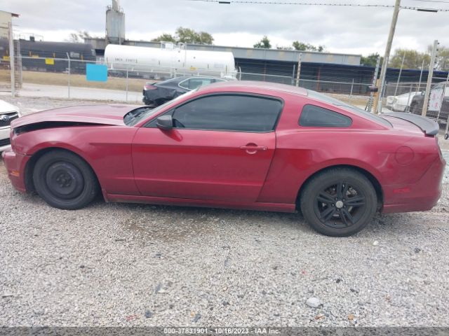 1ZVBP8AM3E5311398 Ford Mustang V6