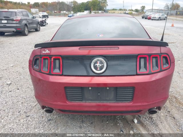 1ZVBP8AM3E5311398 Ford Mustang V6