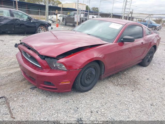 1ZVBP8AM3E5311398 Ford Mustang V6