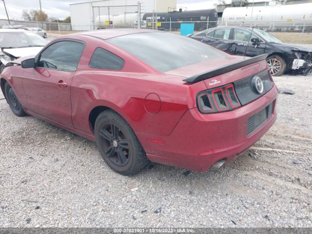 1ZVBP8AM3E5311398 Ford Mustang V6