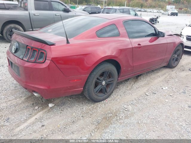1ZVBP8AM3E5311398 Ford Mustang V6