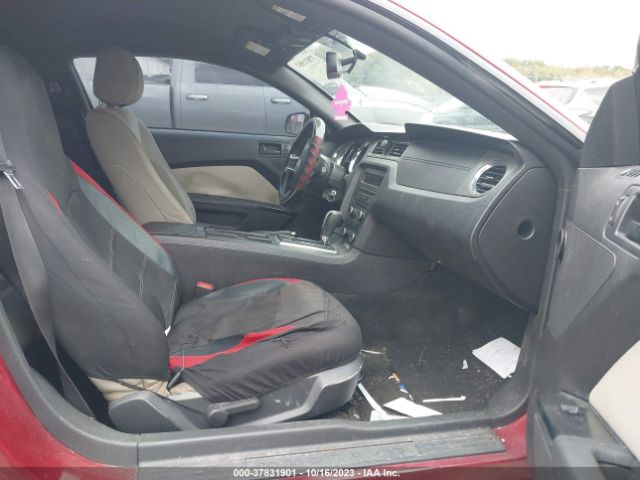 1ZVBP8AM3E5311398 Ford Mustang V6