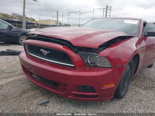 1ZVBP8AM3E5311398 Ford Mustang V6