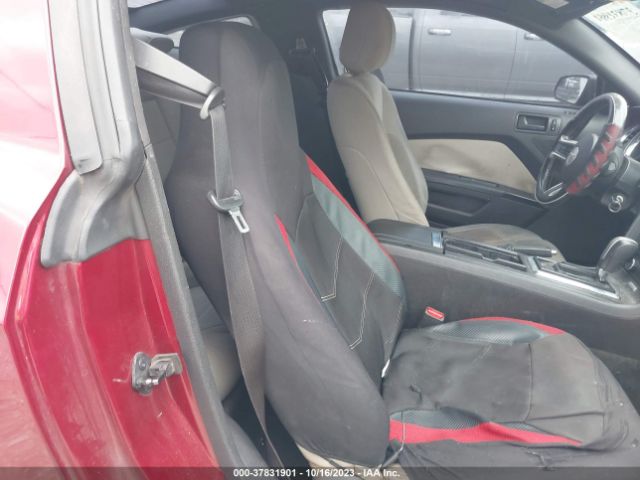 1ZVBP8AM3E5311398 Ford Mustang V6