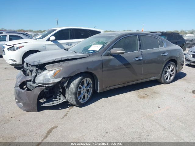 1N4AA5AP7EC442604 Nissan Maxima 3.5 Sv W/premium Pkg