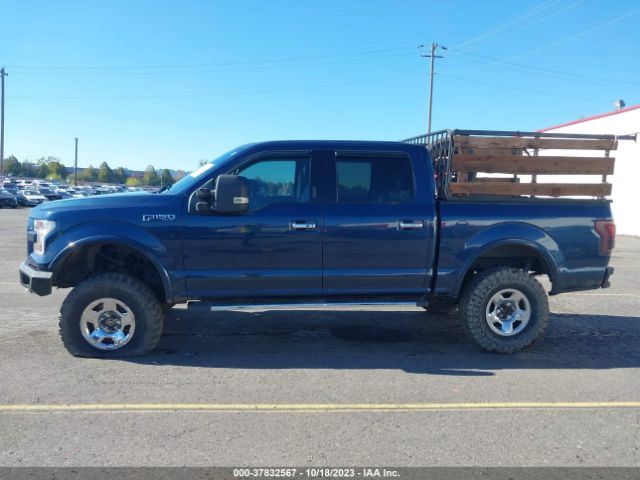 1FTEW1EG7FKE00652 Ford F-150 Xlt/xl/lariat/platinum
