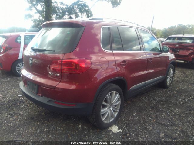 WVGAV7AX1FW097673 Volkswagen TIGUAN SE