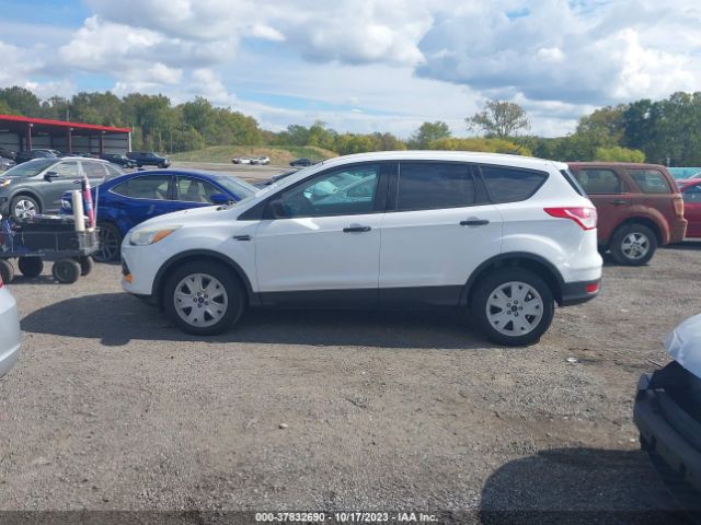 1FMCU0F77EUC27171 Ford ESCAPE S