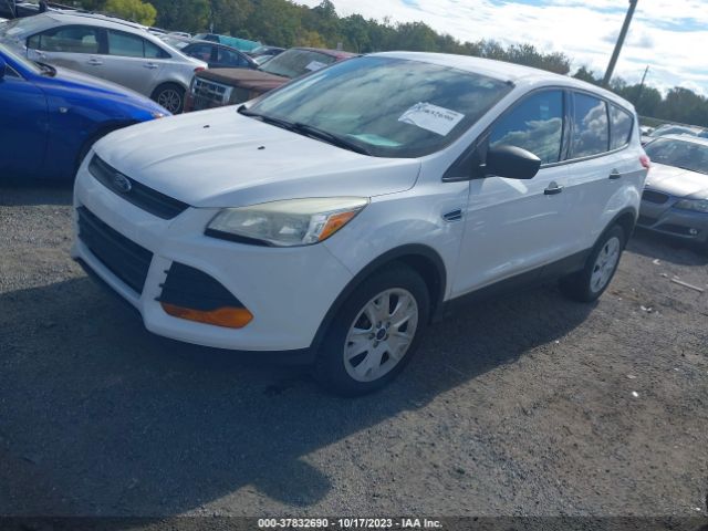 1FMCU0F77EUC27171 Ford ESCAPE S