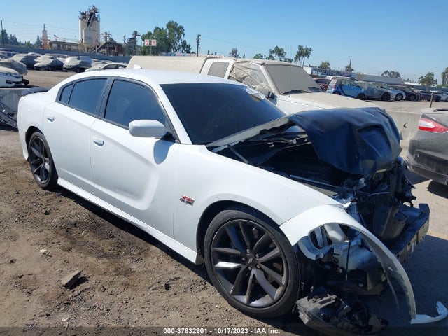 Dodge Charger Scat Pack Rwd 2019 2C3CDXGJ3KH634852 Image 14