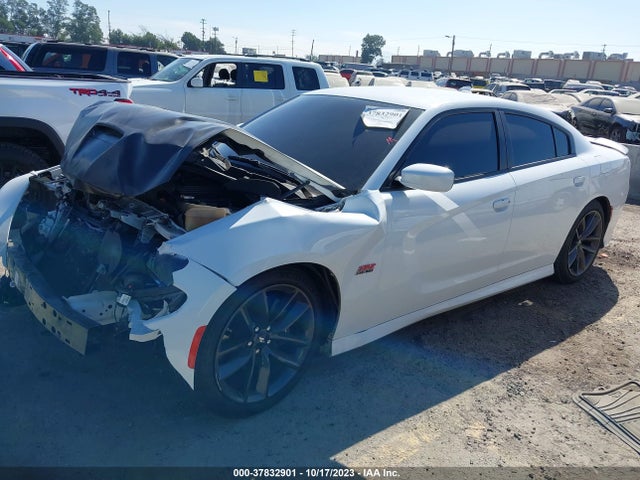 Dodge Charger Scat Pack Rwd 2019 2C3CDXGJ3KH634852 Image 15