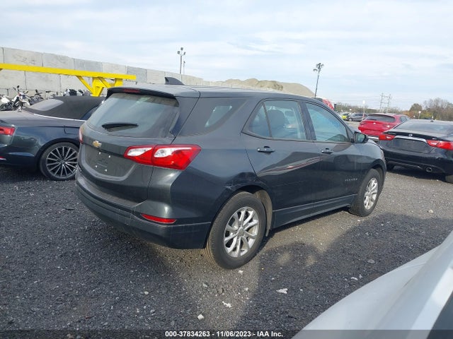 Chevrolet EQUINOX LS 2019 2GNAXHEV3K6139771 Image 4