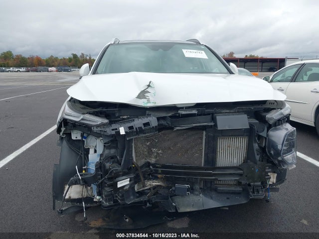 Hyundai Santa Fe Limited 2020 5NMS5CAA8LH251470 Image 13