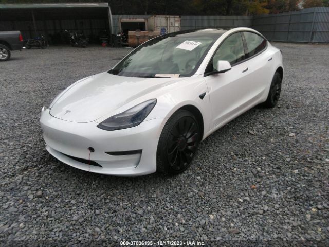 2023 TESLA MODEL 3 5YJ3E1EC2PF504505 Photo 1