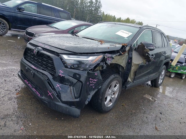 Toyota Rav4 Xle 2023 2T3P1RFV9PW381937 Image 2