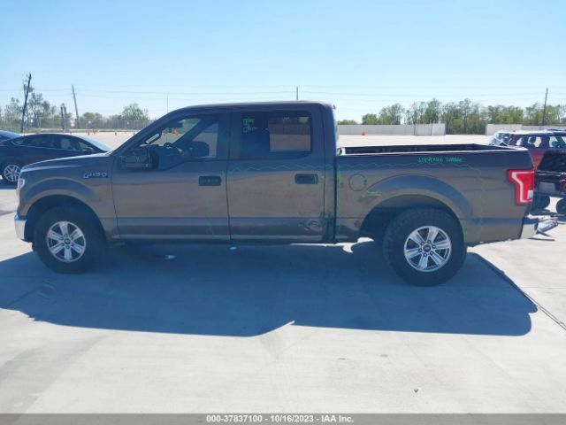 1FTEW1C85FKE31216 Ford F-150 Xlt/xl