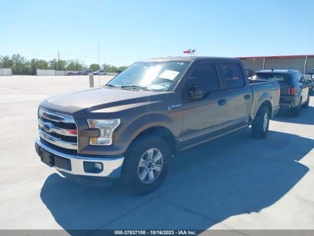 1FTEW1C85FKE31216 Ford F-150 Xlt/xl
