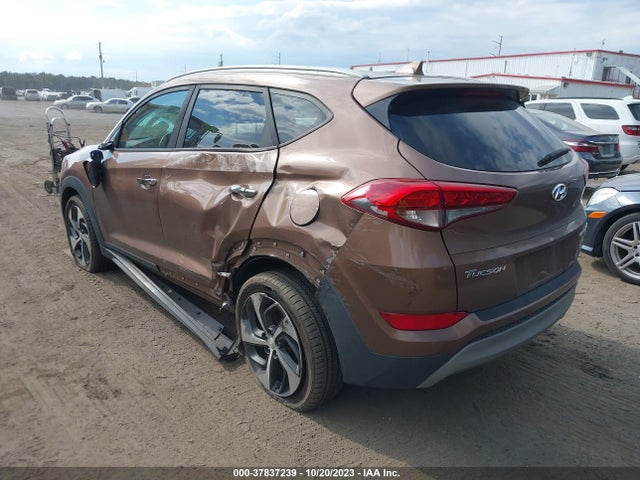 Hyundai Tucson Limited 2017 KM8J3CA20HU385928 Image 3
