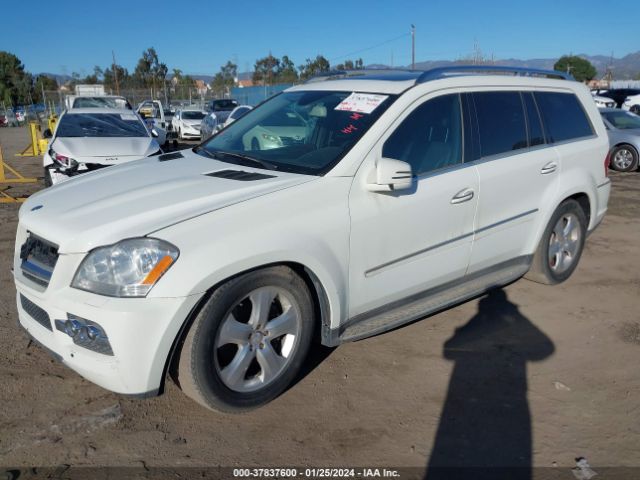 2011 MERCEDES-BENZ GL 450 4JGBF7BE6BA736703 Photo 1