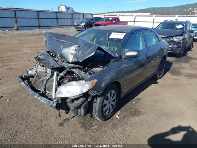 2010 TOYOTA COROLLA VIN: 2T1BU4EEXAC517905