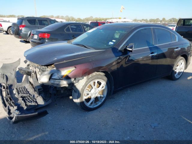 1N4AA5AP2EC906737 Nissan Maxima 3.5 Sv W/premium Pkg