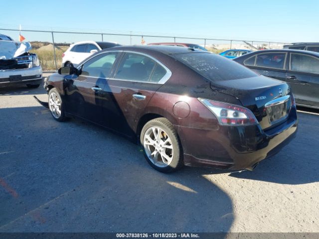 1N4AA5AP2EC906737 Nissan Maxima 3.5 Sv W/premium Pkg
