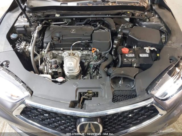 19UUB1F3XLA018086 Acura Tlx Standard