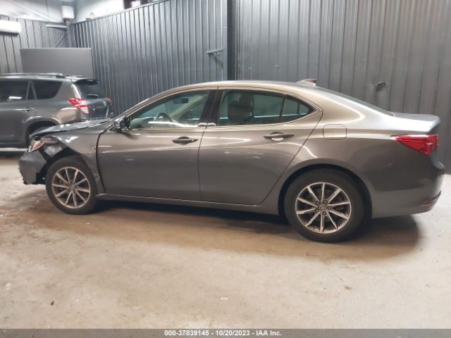19UUB1F3XLA018086 Acura Tlx Standard