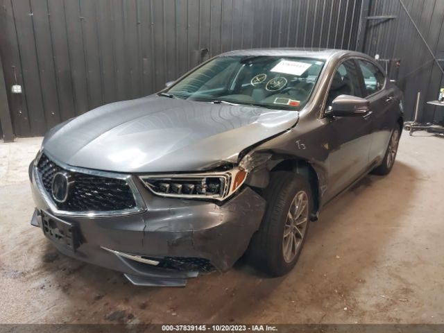 19UUB1F3XLA018086 Acura Tlx Standard