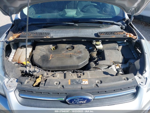 Ford ESCAPE SE 2014 1FMCU0G94EUC42176 Image 10