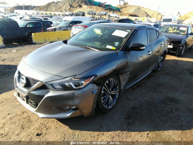 1N4AA6AP0JC406169 Nissan MAXIMA SL